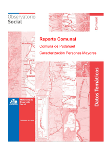 Reporte Comunal - Observatorio Social