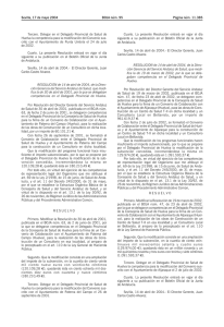 BOJA núm. 95 Sevilla, 17 de mayo 2004 Página núm. 11.385