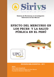 efecto del mercurio en los peces y la salud pública en el perú