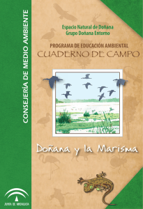 Doñana y la Marisma - Junta de Andalucía