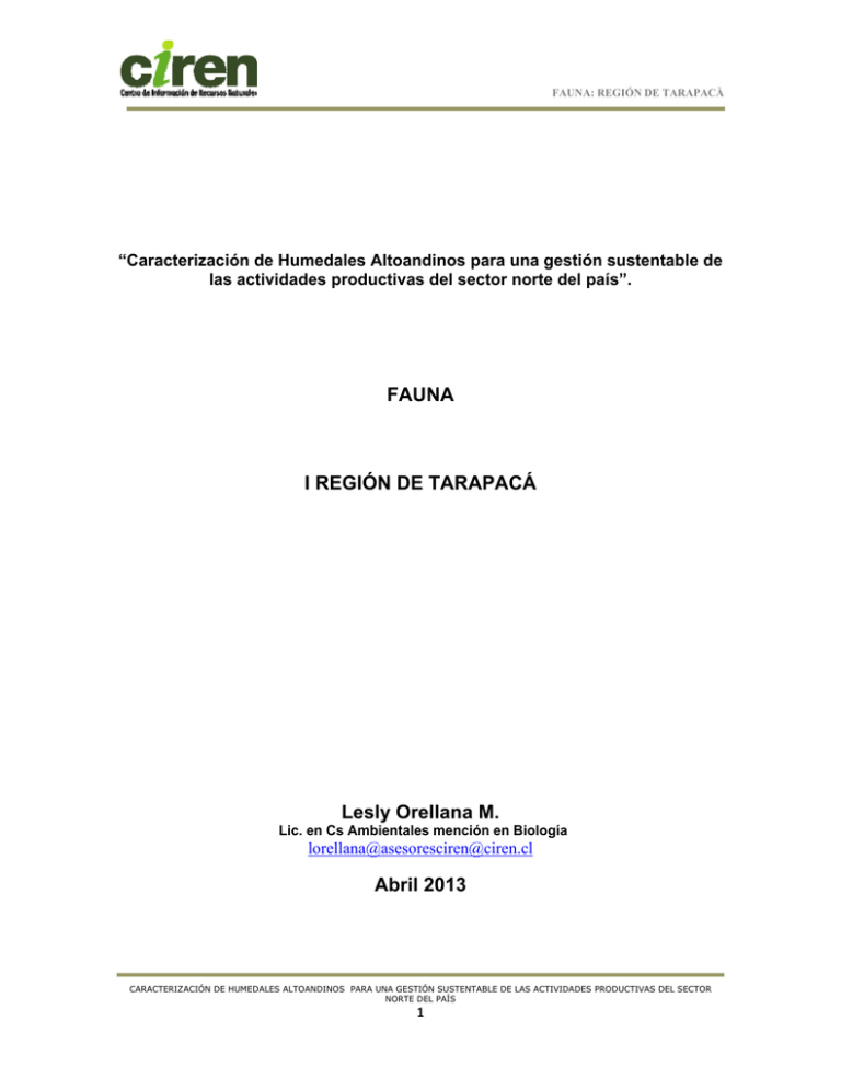 REGI N DE TARAPAC visual data 5