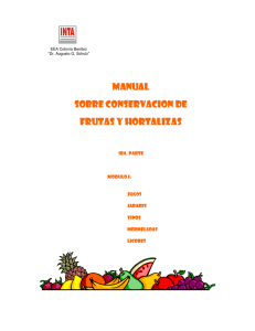 Manual de conservacion Frutas y Hortalizas