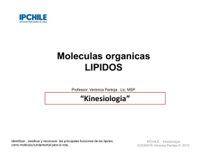 Moleculas organicas LIPIDOS