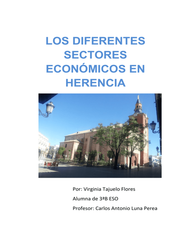 1-LOS DIFERENTES SECTORES ECONÓMICOS EN HERENCIA