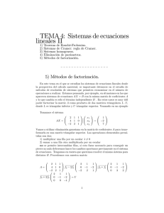 TEMA 4: Sistemas de ecuaciones lineales II