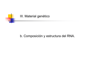 III. Material genético b. Composición y estructura del RNA.