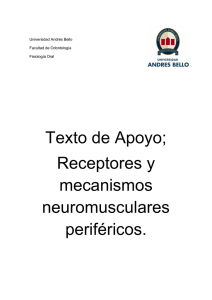 Receptores y mecanismos neuromusculares periféricos.