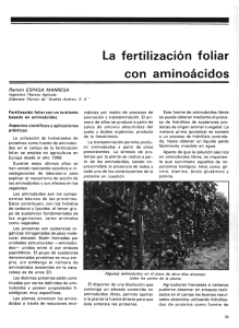 La fertilización foliar con aminoácidos.