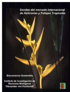 Sondeo del mercado internacional de Heliconias y Follajes Tropicales