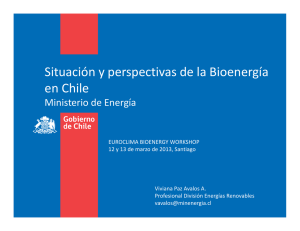 Situación y perspectivas de la Bioenergía en Chile