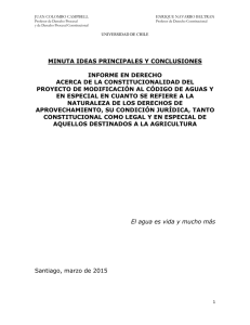 MINUTA IDEAS PRINCIPALES Y CONCLUSIONES INFORME EN