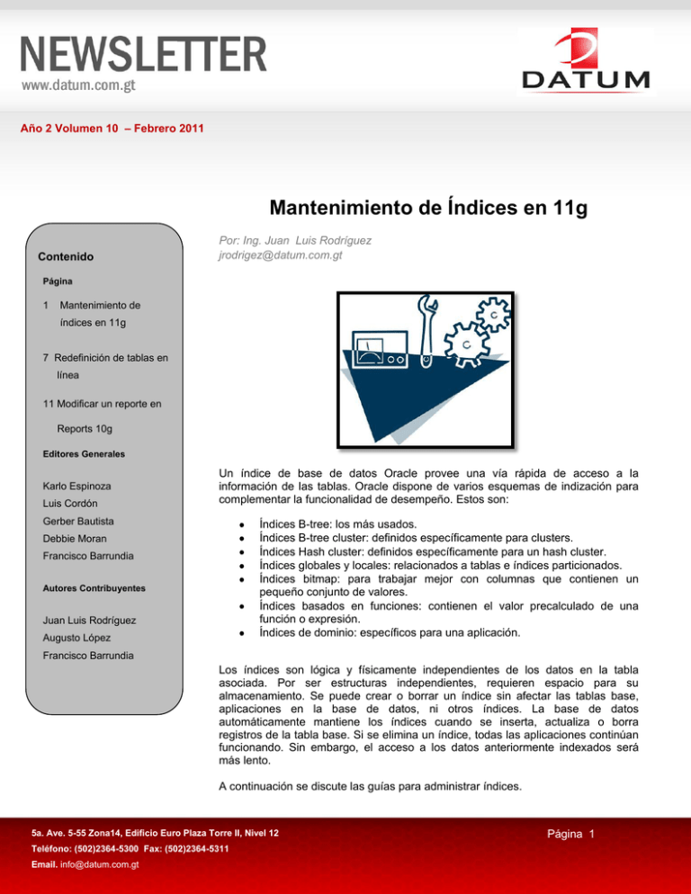 Mantenimiento De Índices En 11g - Newsletter