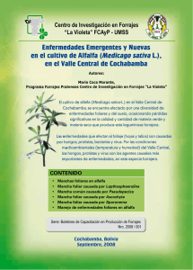 Enfermedades Emergentes y Nuevas en el cultivo de Alfalfa