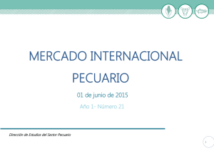 Nro 21 Mercado Internacional - 1 de JUNIO de 2015