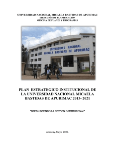 plan estrategico institucional de la universidad nacional micaela