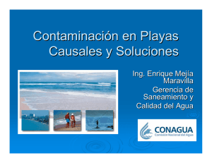 Contaminación en Playas Causales y Soluciones