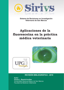 Aplicaciones de la fluoresceína en la práctica médica veterinaria