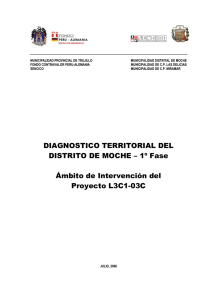 DIAGNOSTICO TERRITORIAL DEL DISTRITO DE