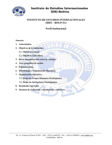 Instituto de Estudios Internacionales IDEI-Bolivia
