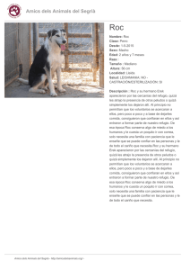 PDF - Amics dels Animals del Segrià
