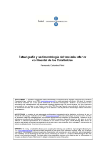 Estratigrafía y sedimentología del terciario inferior continental de los