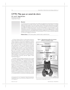 CFTR: Más que un canal de cloro