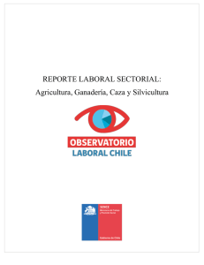 REPORTE LABORAL SECTORIAL: Agricultura, Ganadería, Caza y