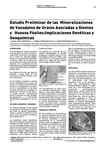 Estudio Preliminar de las Mineralizaciones de Vanadatos de Uranio