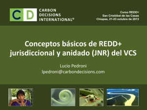 Conceptos básicos de REDD+ jurisdiccional y anidado (JNR) del VCS