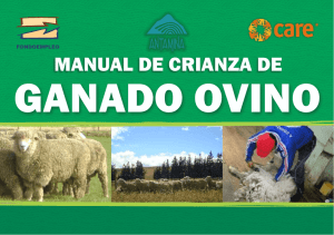 manual de crianza de ganado ovino