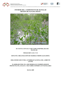 informe del componente de manglar region de panama oeste
