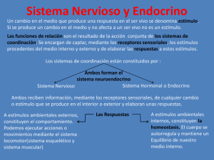 Sistema Nervioso y endocrinopopular!