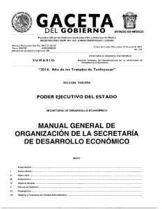 manual general de organización de la secretaría de desarrollo