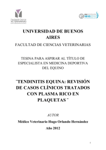 tendinitis equina revisión de casos clínicos tratados con plasma rico