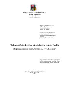 &ldquo;Maderas subf&oacute;siles del &uacute;ltimo interglacial de la costa de Valdivia