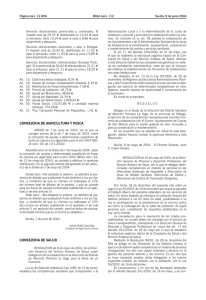 Resolución de 24 de mayo de 2004, de la Dirección General de