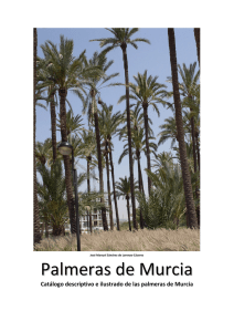 Palmeras de Murcia