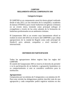 CAMP300 REGLAMENTO OFICIAL CAMPEONATO