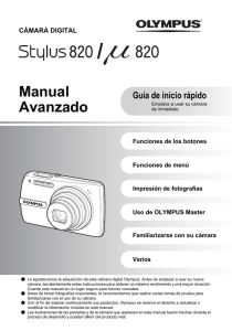 Manual Avanzado