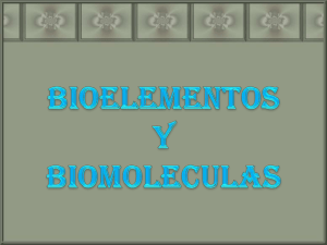Bioelementos y biomoléculas - ies "poeta claudio rodríguez"