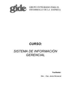 curso: sistema de información gerencial