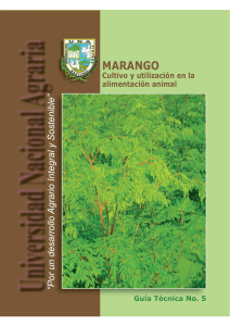 marango - GFU for Underutilized Species