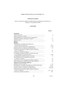 NORMA INTERNACIONAL DE AUDITORÍA 570