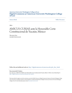 AMICUS CURIAE ante la Honorable Corte Constitucional de YucatÃ