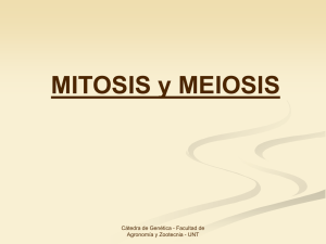 MITOSIS y MEIOSIS