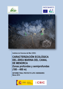 Informe Final Canal de Menorca CSIC