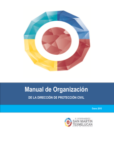 Manual de Organización - San Martín Texmelucan