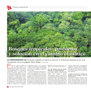 Bosques tropicales: problema y solución en el cambio