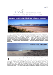 1. Impacto del turismo en las playas