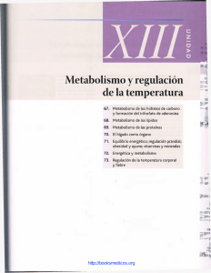 Metabolismo y Regulación de la Temperatura.